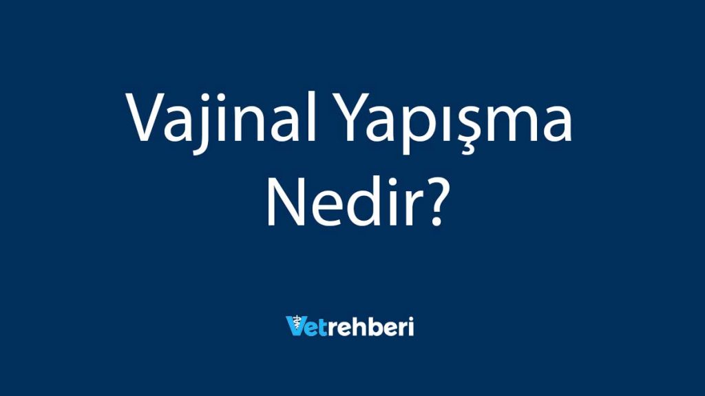 Vajinal Yapışma Nedir?