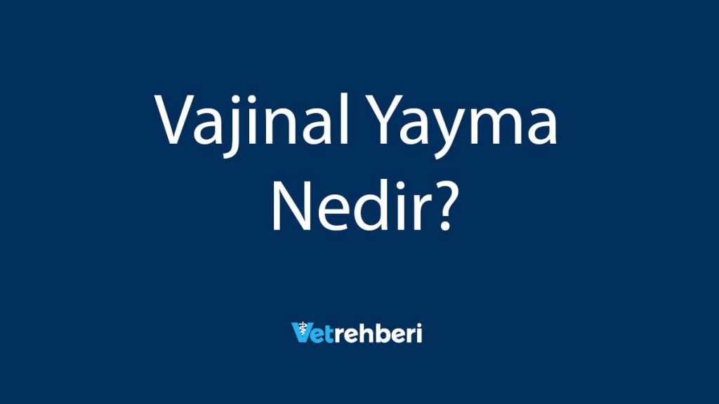 Vajinal Yayma Nedir?