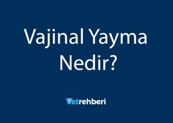 Vajinal Yayma Nedir?