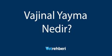 Vajinal Yayma Nedir?