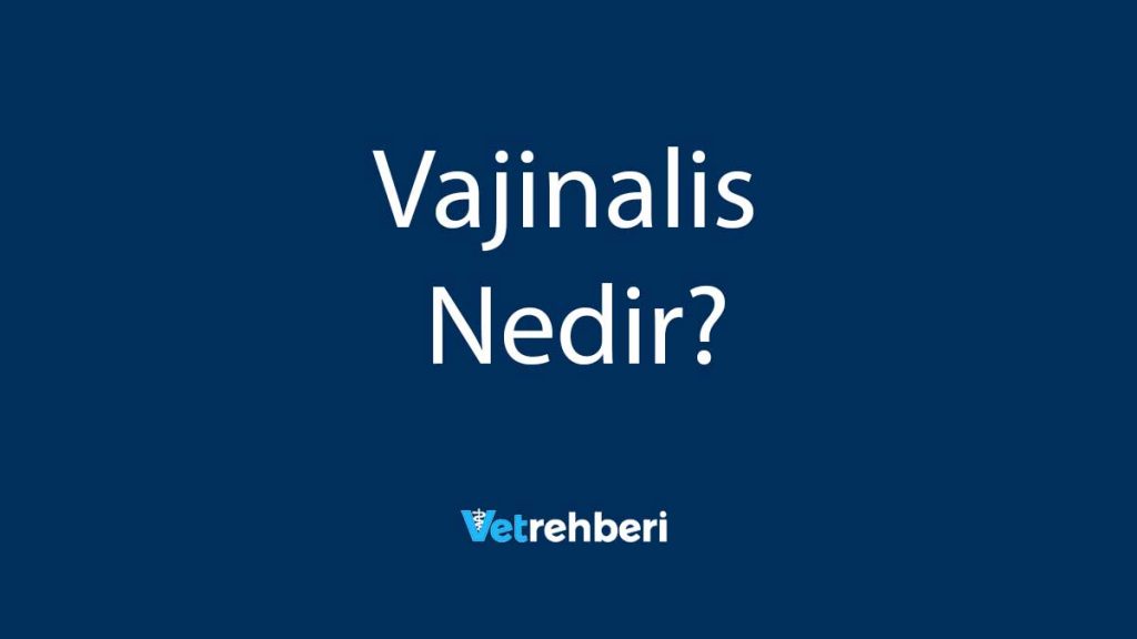 Vajinalis Nedir?