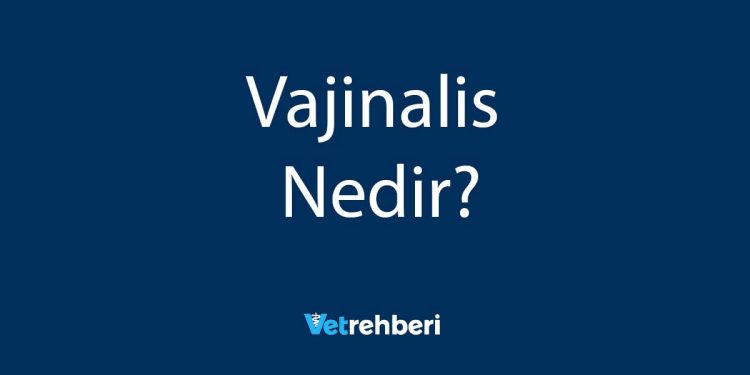 Vajinalis Nedir?