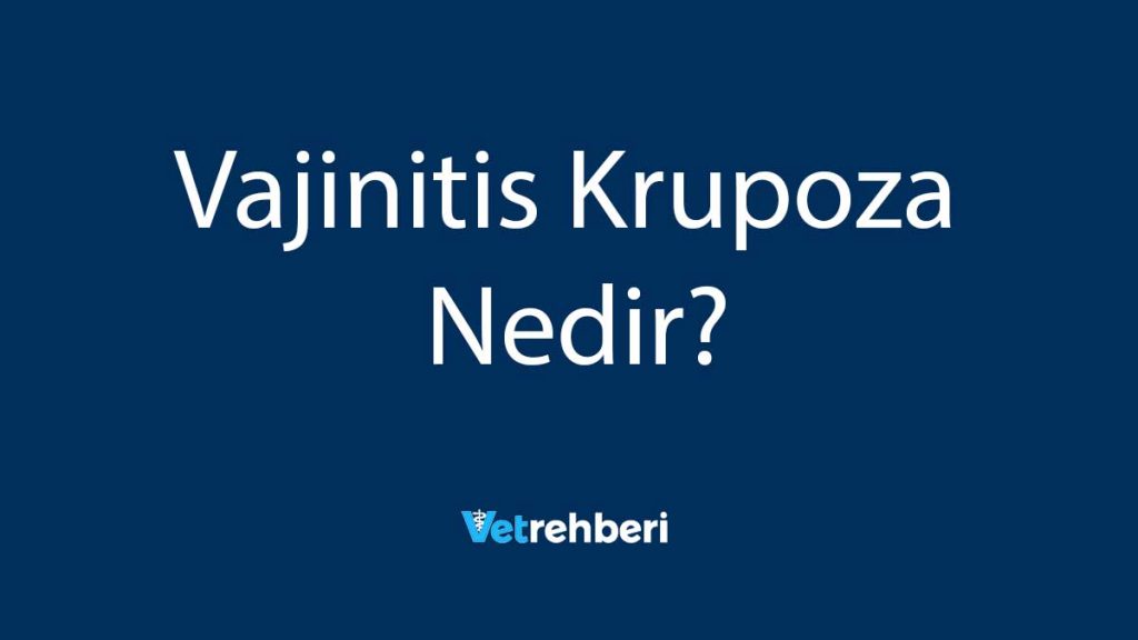 Vajinitis Krupoza Nedir?