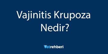 Vajinitis Krupoza Nedir?