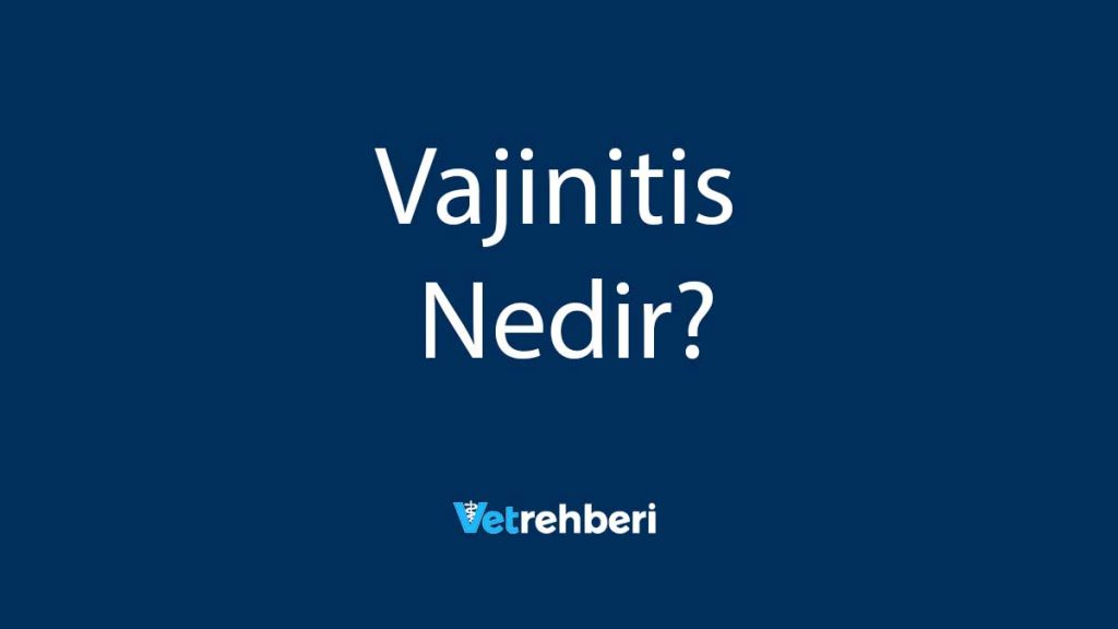 Vajinitis Nedir?