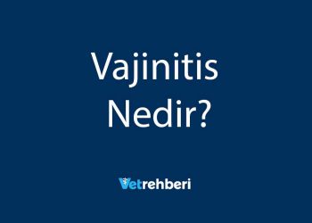 Vajinitis Nedir?