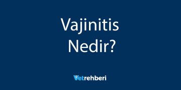 Vajinitis Nedir?