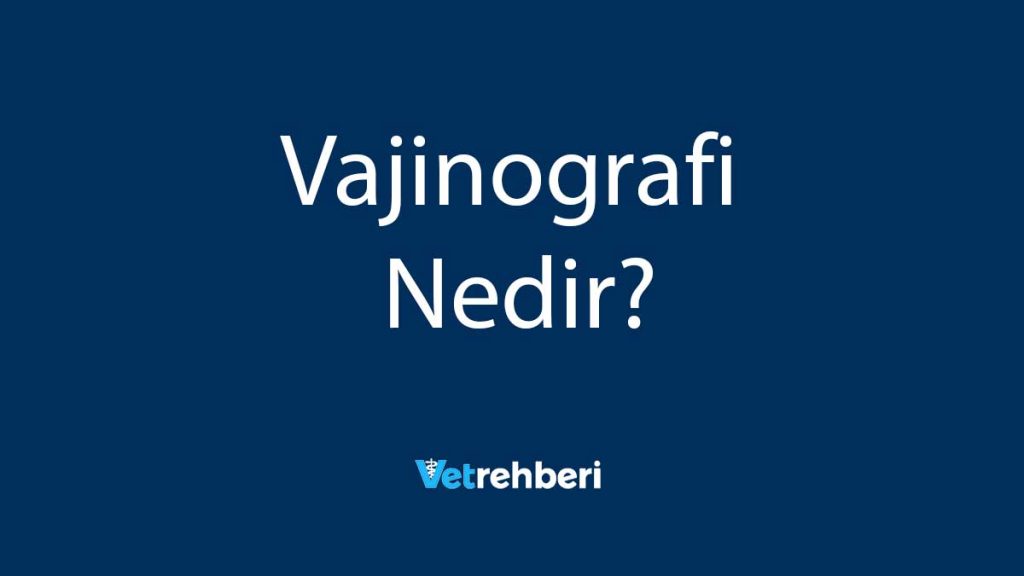 Vajinografi Nedir?