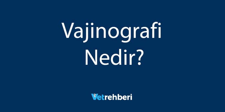 Vajinografi Nedir?