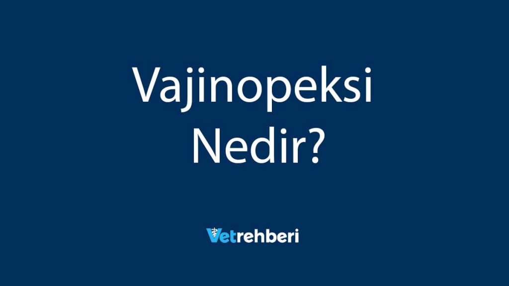 Vajinopeksi Nedir?