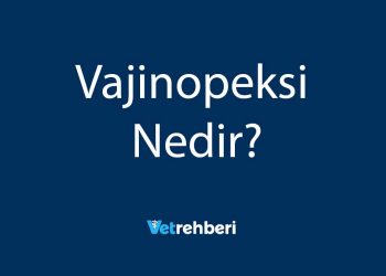 Vajinopeksi Nedir?