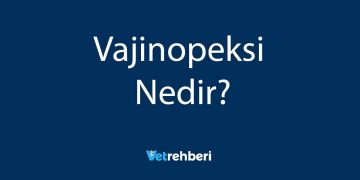 Vajinopeksi Nedir?
