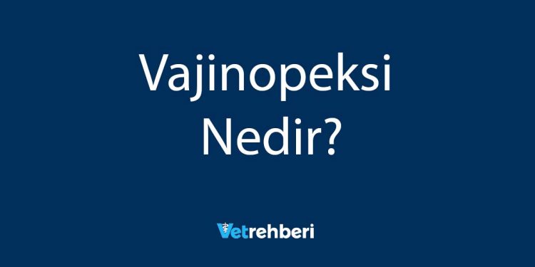 Vajinopeksi Nedir?