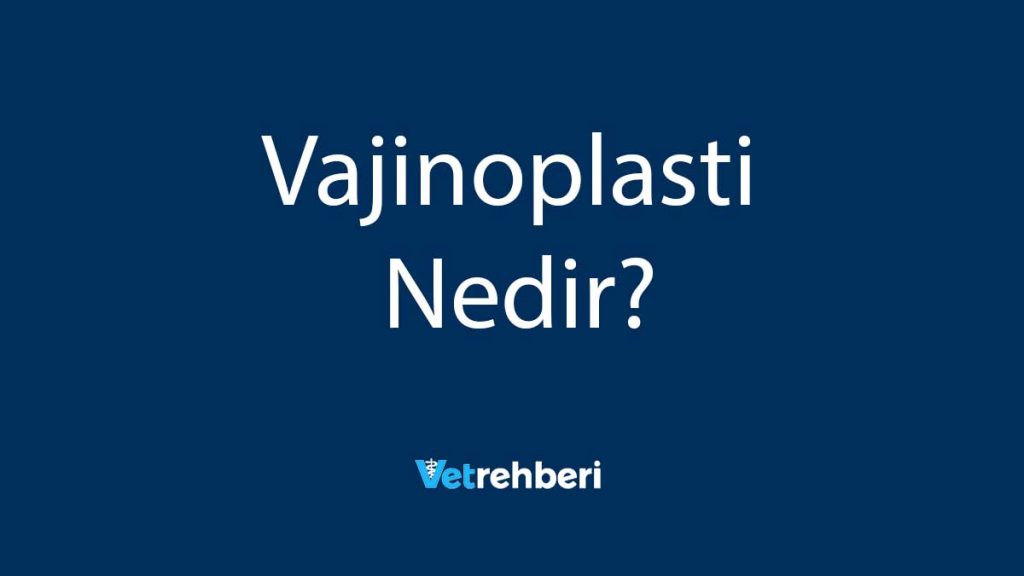 Vajinoplasti Nedir?