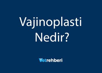 Vajinoplasti Nedir?