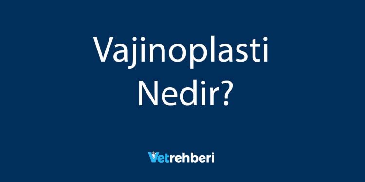 Vajinoplasti Nedir?