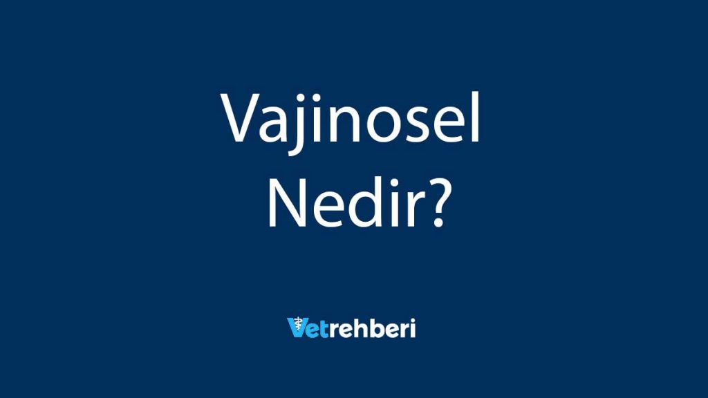 Vajinosel Nedir?