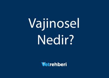 Vajinosel Nedir?