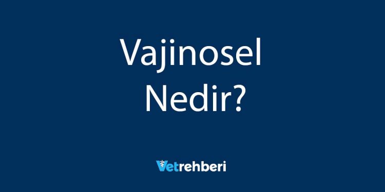 Vajinosel Nedir?