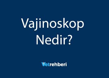 Vajinoskop Nedir?