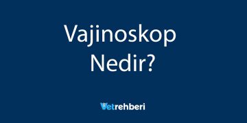 Vajinoskop Nedir?