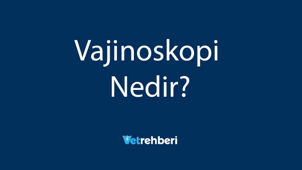 Vajinoskopi Nedir?