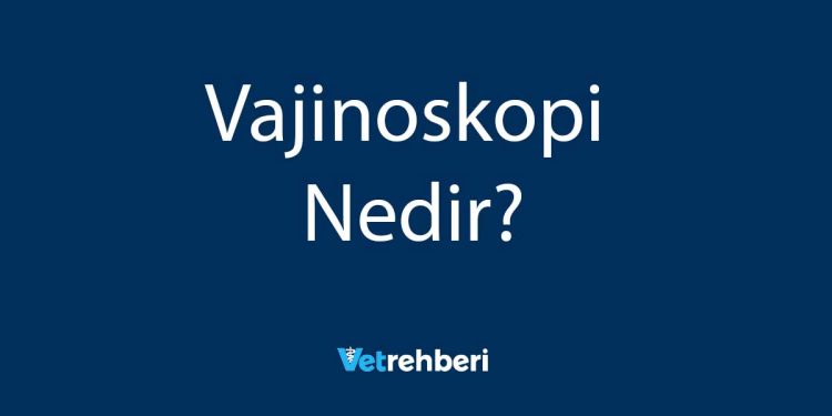 Vajinoskopi Nedir?