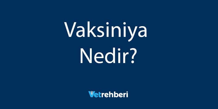 Vaksiniya Nedir?