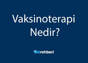 Vaksinoterapi Nedir?