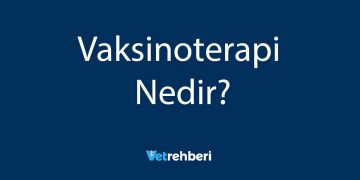 Vaksinoterapi Nedir?