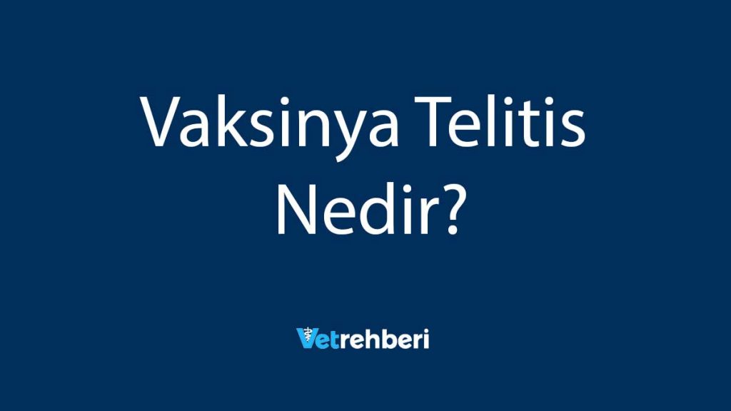 Vaksinya Telitis Nedir?