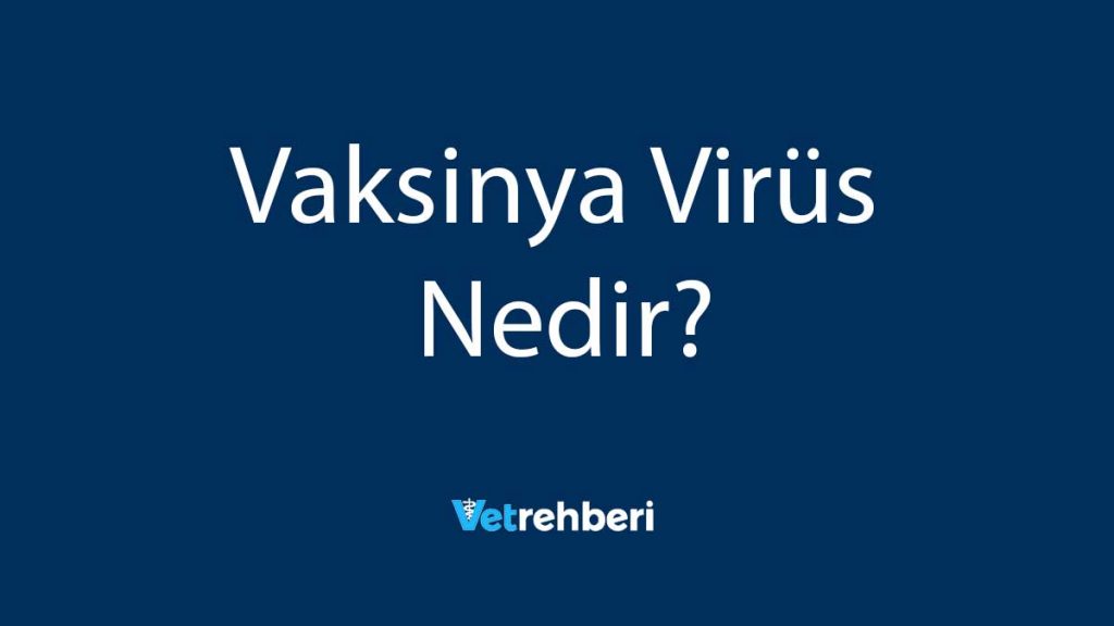 Vaksinya Virüs Nedir?