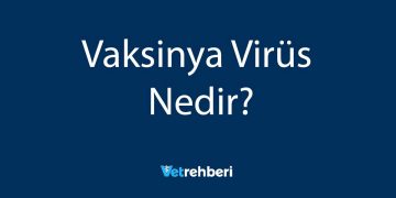 Vaksinya Virüs Nedir?
