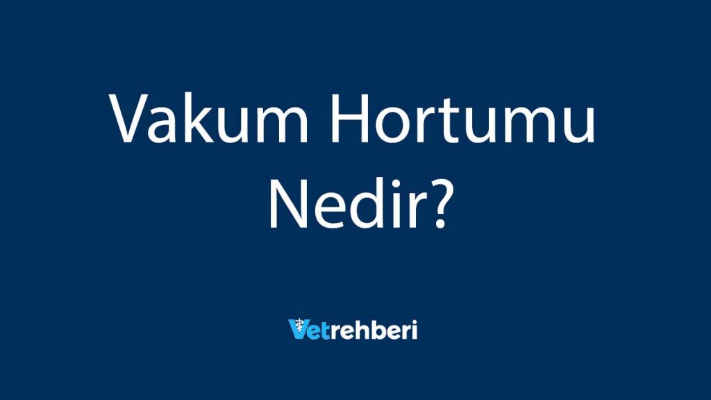 Vakum Hortumu Nedir?