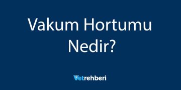 Vakum Hortumu Nedir?