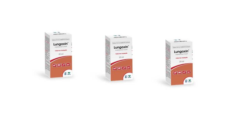 Lungoxin