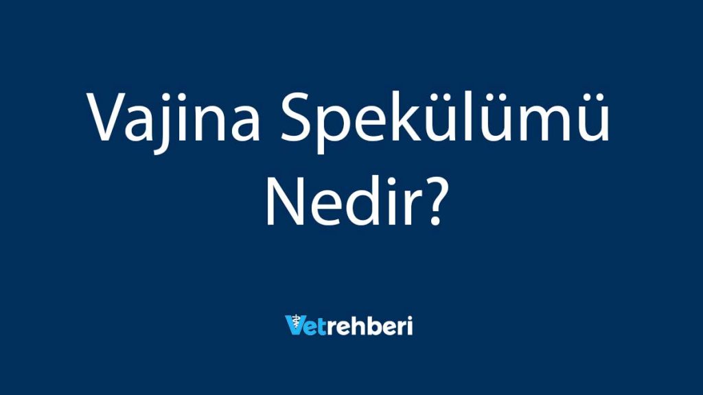 Vajina Spekülümü Nedir?