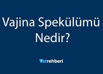 Vajina Spekülümü Nedir?
