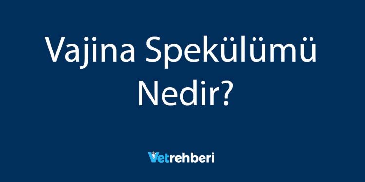 Vajina Spekülümü Nedir?