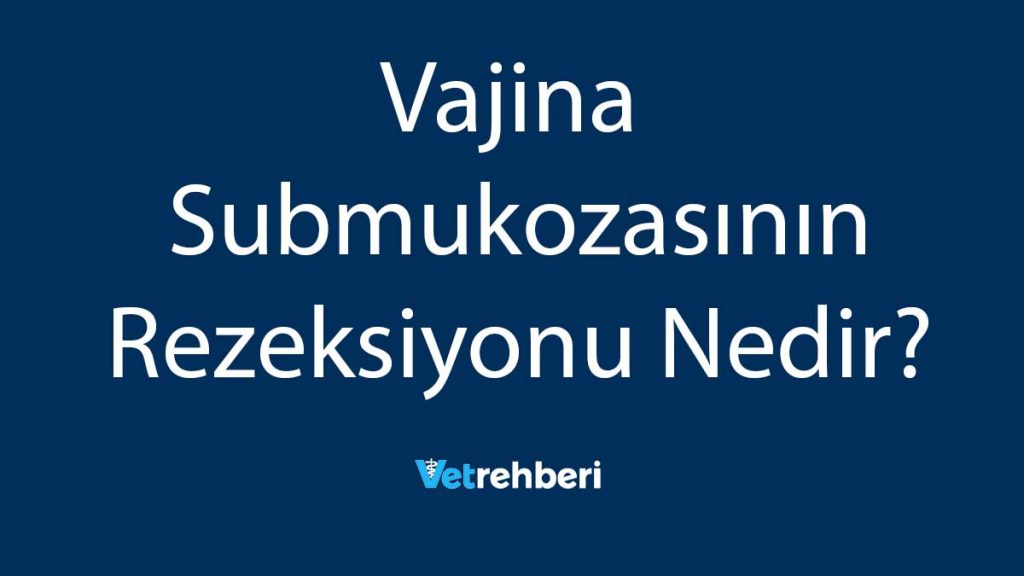 Vajina Submukozasının Rezeksiyonu Nedir?