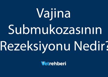 Vajina Submukozasının Rezeksiyonu Nedir?