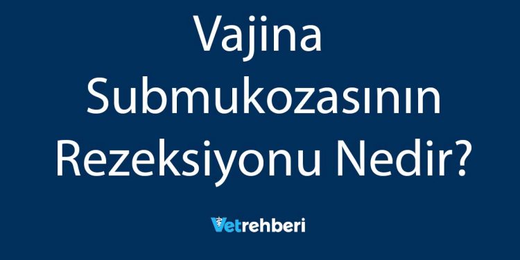 Vajina Submukozasının Rezeksiyonu Nedir?