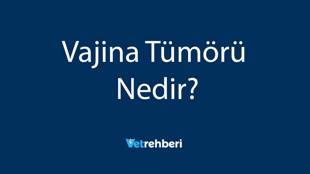 Vajina Tümörü Nedir?