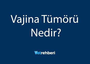 Vajina Tümörü Nedir?