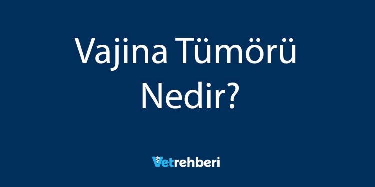 Vajina Tümörü Nedir?