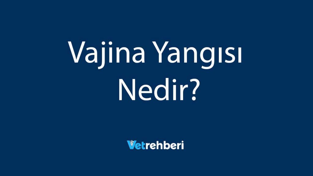 Vajina Yangısı Nedir?