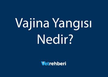 Vajina Yangısı Nedir?