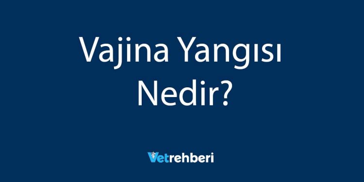 Vajina Yangısı Nedir?