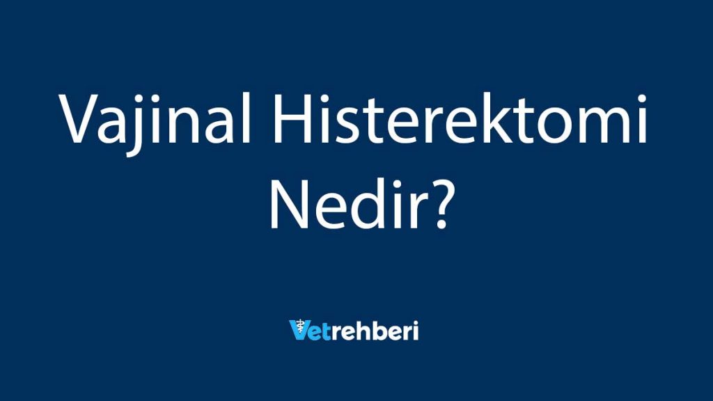 Vajinal Histerektomi Nedir?