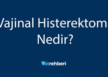 Vajinal Histerektomi Nedir?